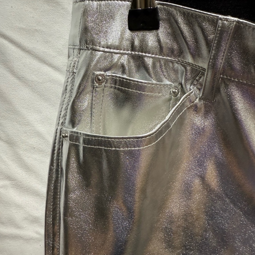 Target Metallic Silver Pants - Picture 8 of 12